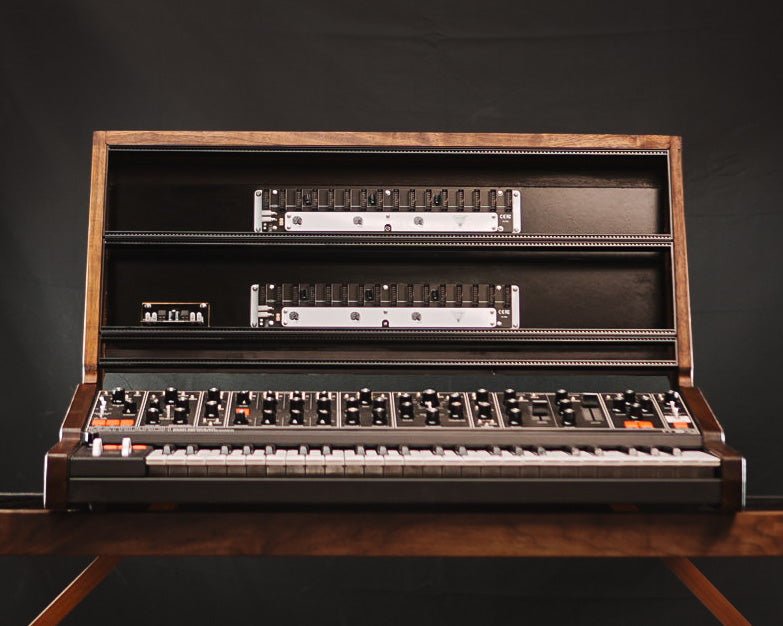 Moog Matriarch 6U Eurorack Extension Cabinet – Needham Woodworks